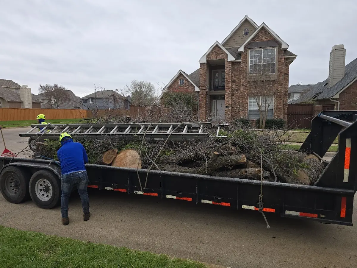 Expert Tree Pest Control with proper safety equipment in Coahoma